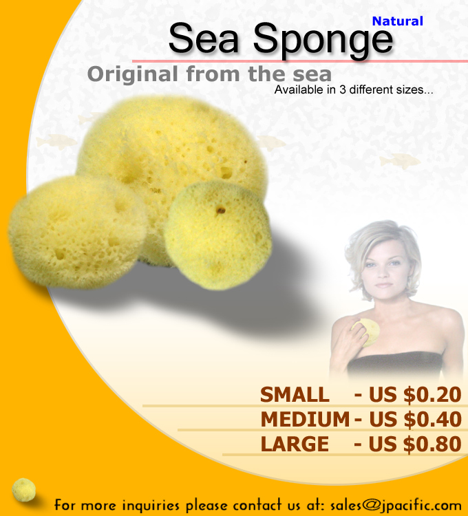 Natural Sponge Collection